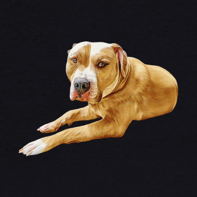 Resting Pitbull by Beauty Immortal